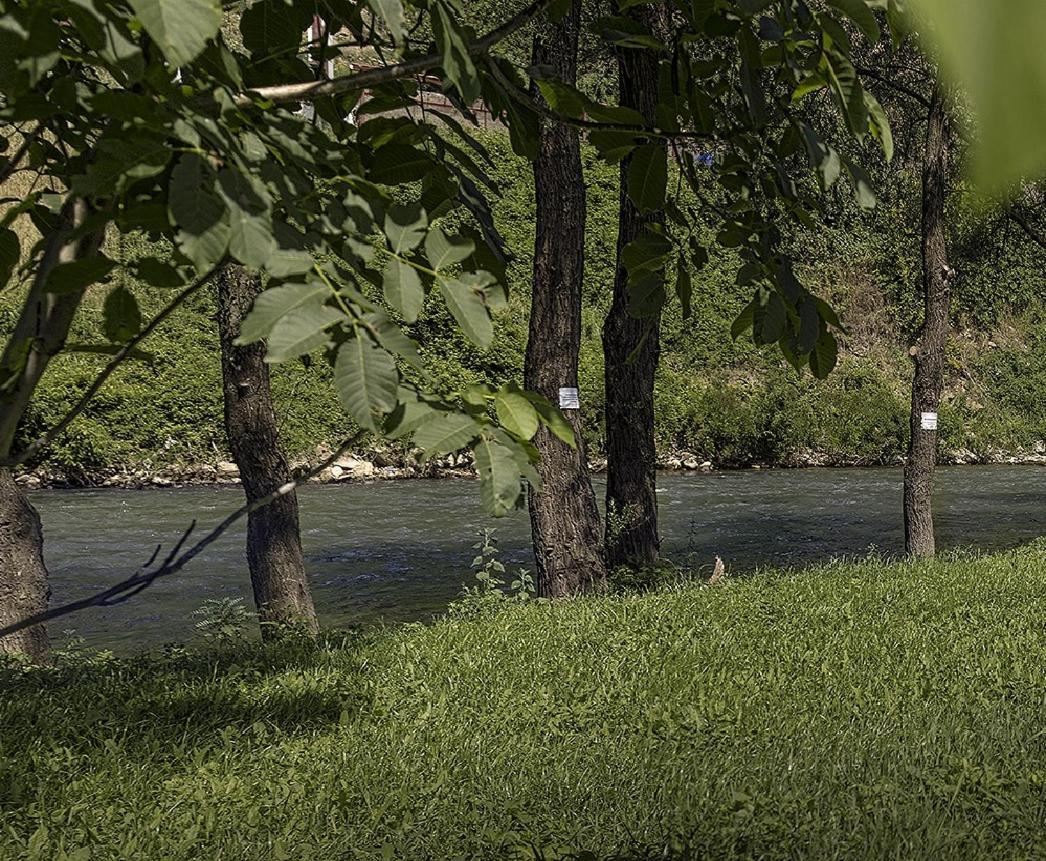 Villa Galiana Simitli Dış mekan fotoğraf